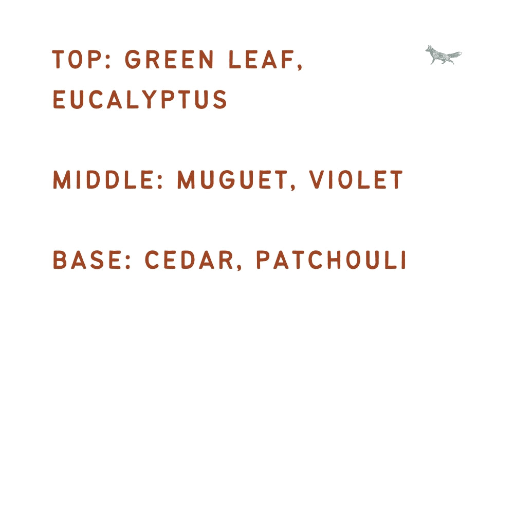 Australian Sandalwood