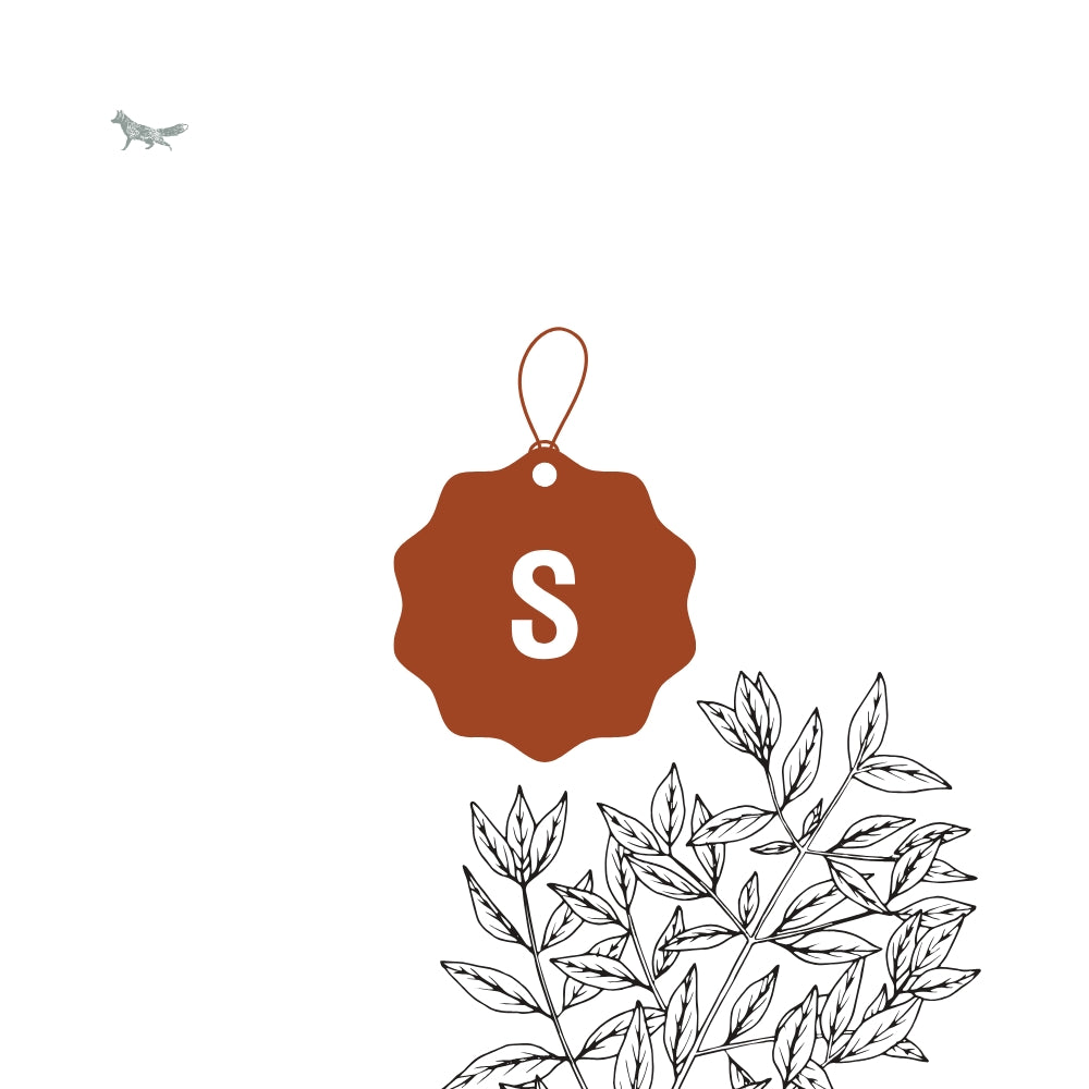 Australian Sandalwood